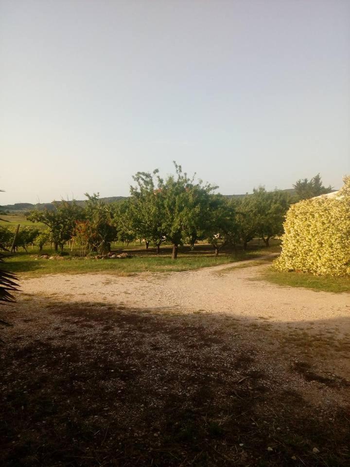 Residenza Agrituristica Santa Lucia Con Piscina Apartment Alghero Exterior photo